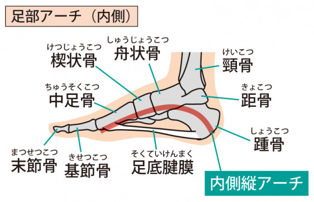 アーチのイラスト